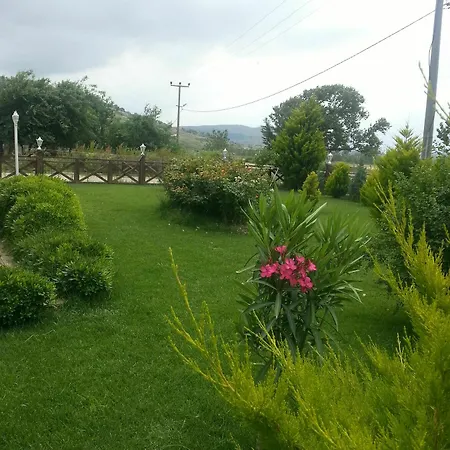 Alis Boutique 3* Kaleköy